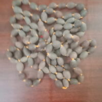 Thamarai Mala - 54 beads